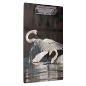 愛する白鳥 クリップボード (右)