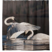 愛する白鳥 シャワーカーテン (正面)