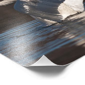 愛する白鳥 フォトプリント            (角)