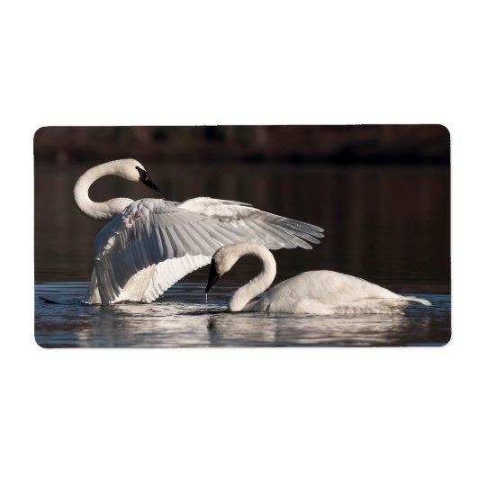 愛する白鳥 ラベル (正面)