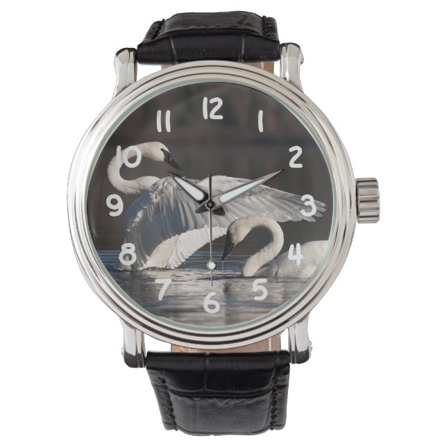 愛する白鳥 腕時計 (正面)