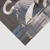 愛する白鳥 薄葉紙 (詳細)