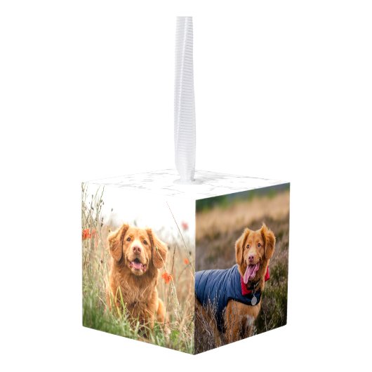 愛する記憶でペットの損失ギフトペット記念写真 キューブオーナメント (裏面アングル)