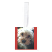 愛する記憶でペットパーソナライズされたロス写真赤 キューブオーナメント (正面)