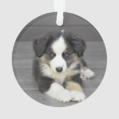 愛する記憶で松のリース写真ペット記念碑 オーナメント (裏面)