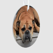 愛する記憶の中でペットのクリスマスメモリアルオーナメント オーナメント (正面)