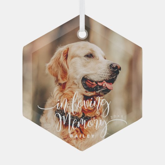 愛する記憶の中でペットの記念シンプル写真モダン ガラスオーナメント (正面)