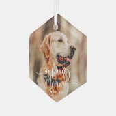 愛する記憶の中でペットの記念シンプル写真モダン ガラスオーナメント (正面左)