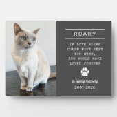 愛する記憶の猫の写真 チャコール フォトプラーク (正面)
