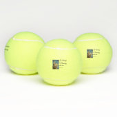 愛する記憶の記念の記念にペット名を追加 テニスボール (マルチ)