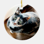 愛する記憶 猫または犬 ペットの追悼写真 セラミックオーナメント (裏面)