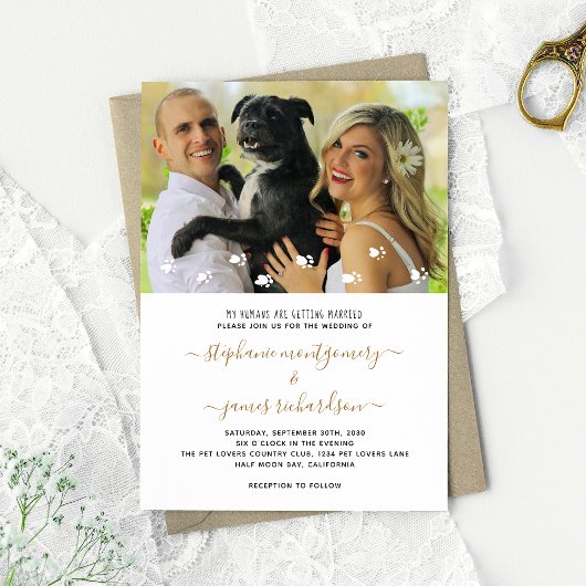 愛する飼い主の結婚式 ペット写真 ウェディング 招待状