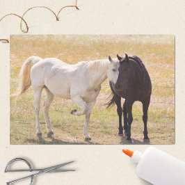 愛する馬 薄葉紙