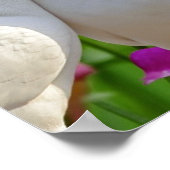 愛する鳥たち、愛する鳩たち二人、美しい背景。 ポスター (角)