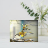 愛する鳥 ポストカード (スタンド正面)