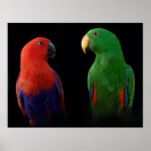 愛だ! ポスター (正面)