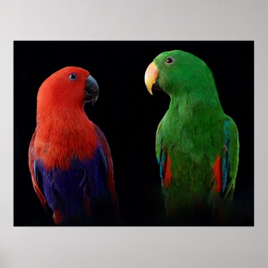 愛だ! ポスター (正面)