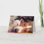 愛って素敵ね カード (正面)