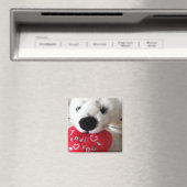 愛で封印された マグネット (インサイチュ (食洗機))