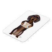 愛とダシュント マグネット (左側)