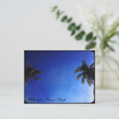 愛とティモール・レステ ポストカード (スタンド正面)