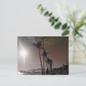 愛とティモール・レステ ポストカード (スタンド正面)