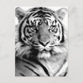 愛と勇気_ ポストカード (正面)