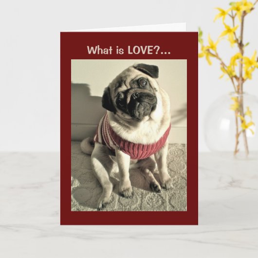 愛と孤独な家 カード (黄色い花)