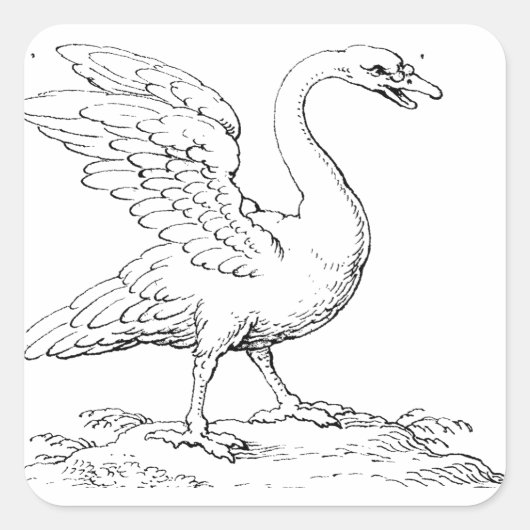 愛と忠誠の象徴 白鳥の美術品 スクエアシール (正面)