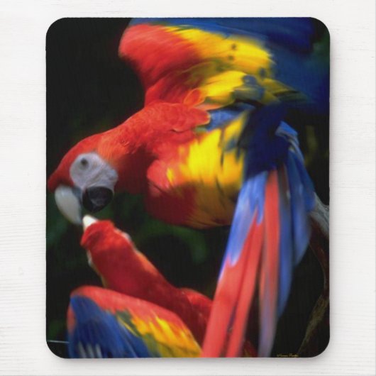 愛に満ちたインコのマウスパッド マウスパッド (正面)