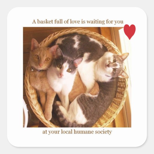 愛に満ちたバスケットが待#2... スクエアシール (正面)