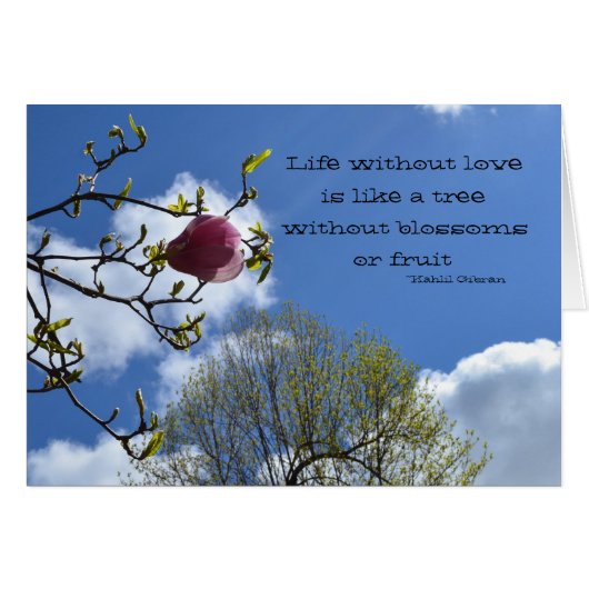 愛のない生活は似ている (正面横)