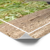 愛のまなざし ポスター (角)