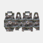 **「愛のエイドロフト：ミイラとベビーオッター」** フェイバーボックス (折り畳みなし)