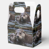 **「愛のエイドロフト：ミイラとベビーオッター」** フェイバーボックス (オープン)