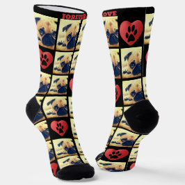 愛のカスタム写真コラージュ愛ペット ソックス