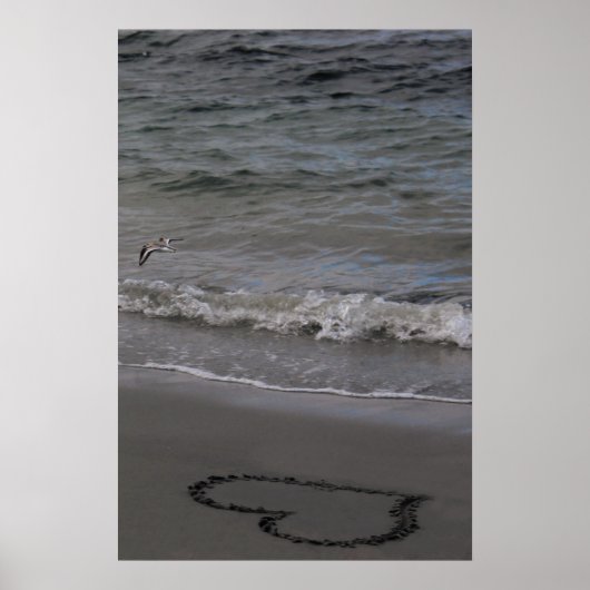 愛のシギ ポスター (正面)