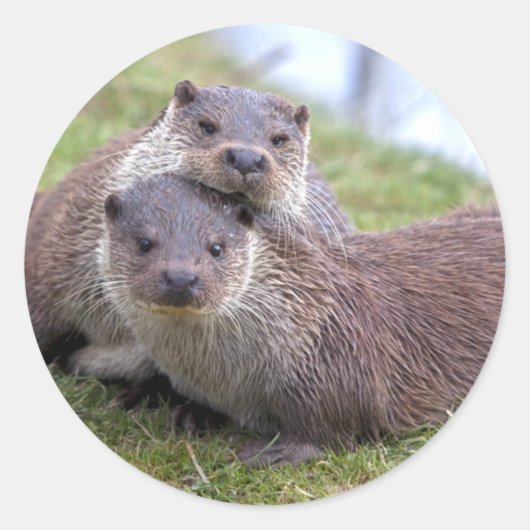 愛のステッカーに輝く ラウンドシール (正面)