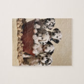 愛のスポットライト：ダルマチア喜び ジグソーパズル (横)