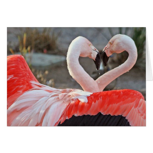 愛のダンス (正面横)