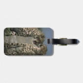 愛のチーター ラゲッジタグ (裏面横)