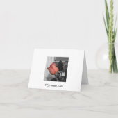 『愛のノテカード』 シーズンカード (裏面)