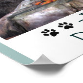 愛のポスターに値する猫たち ポスター (角)