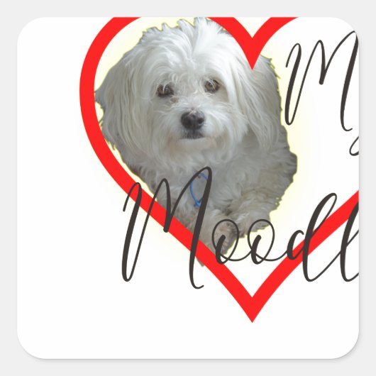 愛のムードル スクエアシール (正面)