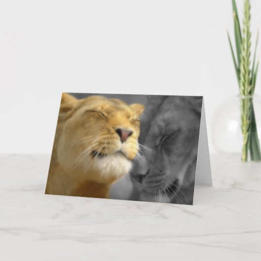 愛のライオン カード (正面)