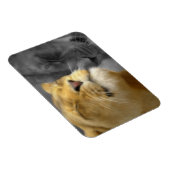 愛のライオン マグネット (右側)