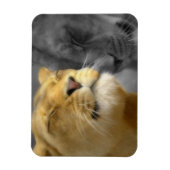 愛のライオン マグネット (縦)