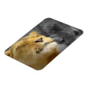 愛のライオン マグネット (左側)