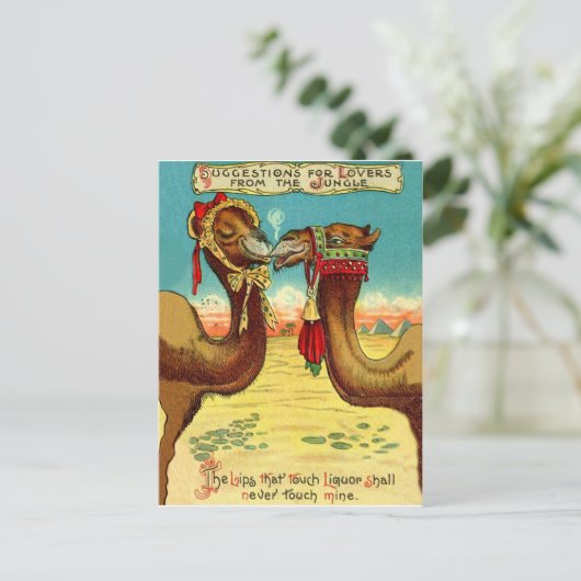 愛のラクダおもしろい、ヴィンテージ聖バレンタイン ポストカード (スタンド正面)