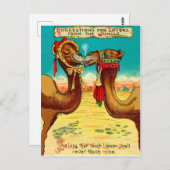 愛のラクダおもしろい、ヴィンテージ聖バレンタイン ポストカード (正面/裏面)